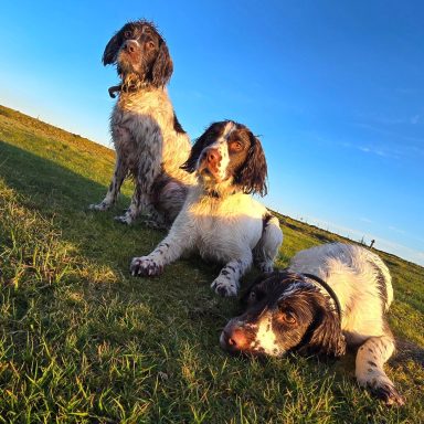 Trio of trouble...